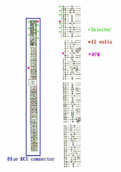 ECU pinout